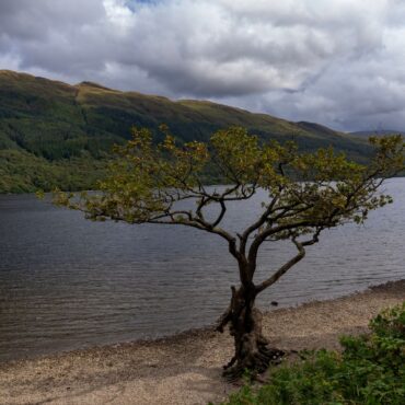 ‘Possible human remains’ discovered at beauty spot