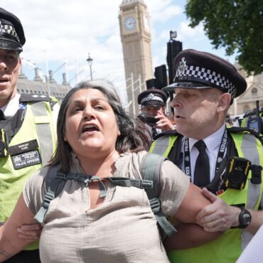 Palestine Action supporters urged to demand they are taken into custody if they are arrested