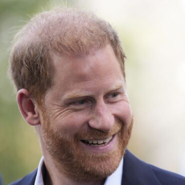 Prince Harry hits back at claims he was surprised that meeting with King was ‘formal’