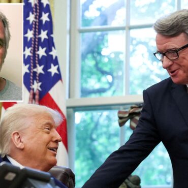 Notes from Trump and Mandelson among alleged messages in Epstein ‘birthday book’