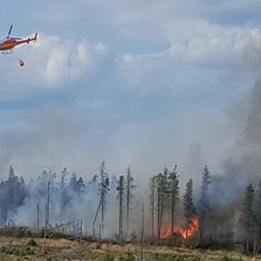 UK suffers worst ever year for wildfires – with total set to eclipse 1,000