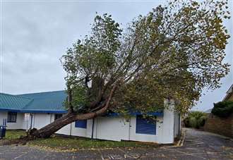 Swimming pool closed after tree falls on roof