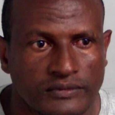 Migrant sex offender deported after mistaken prison release