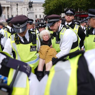 More than 400 arrested in London as pro-Palestine protest goes ahead despite pleas