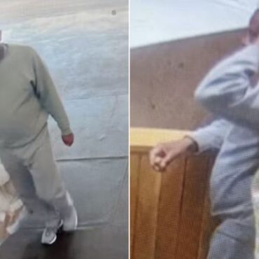 CCTV images show last sightings of wanted asylum seeker after he was released from prison in error