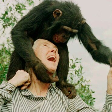 ‘Conservation giant’ who inspired ‘millions’ has died