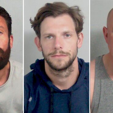 Three men jailed for violent disorder outside Epping hotel housing asylum seekers