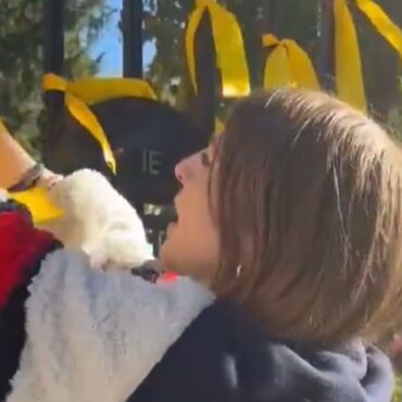 Woman caught on camera cutting yellow ribbons for Israeli hostages