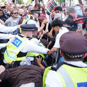 Palestine Action can still challenge terror ban after government loses appeal