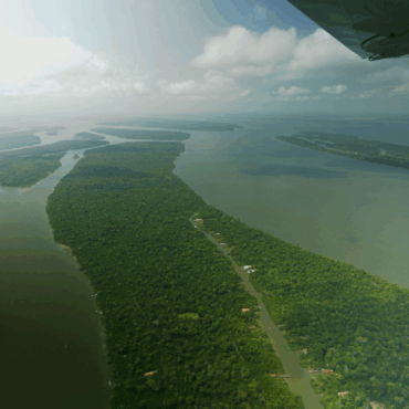 ‘Smart’ idea to save world’s tropical forests – so why is UK not investing?