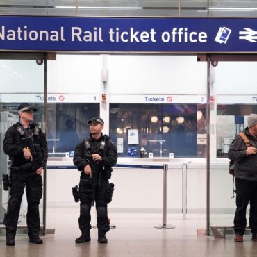 Government rules out airport-style security scanners at train stations following stabbing attack