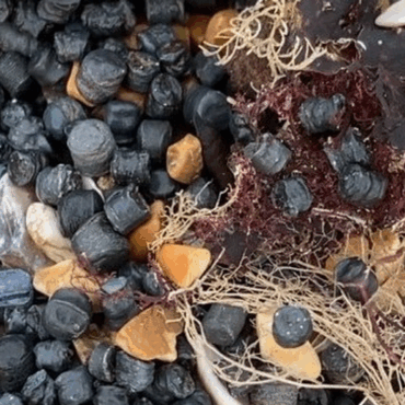 ‘Environmental catastrophe’ at beauty spot beach as ‘millions’ of plastic beads wash up