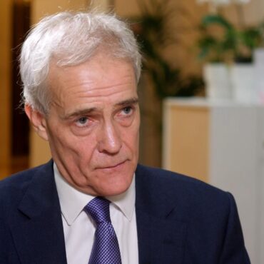 Prison release mistakes ‘symptom of system close to breaking point’, says prisons inspector