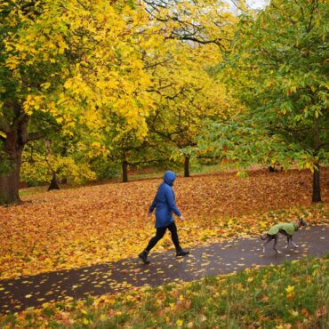 Temperatures in UK expected to be warmer than usual next week