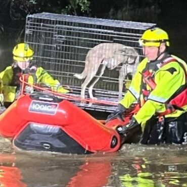 Major incident declared in parts of Wales after flooding triggers hundreds of calls