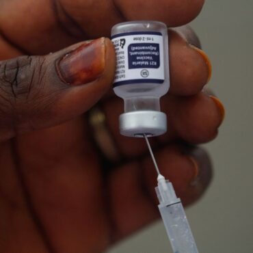 UK cuts funding to AIDS, tuberculosis and malaria project by £150m
