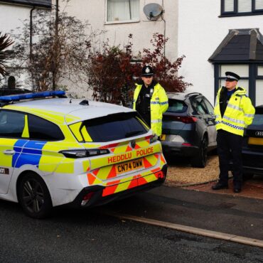 Dog that killed nine-month-old baby was XL bully