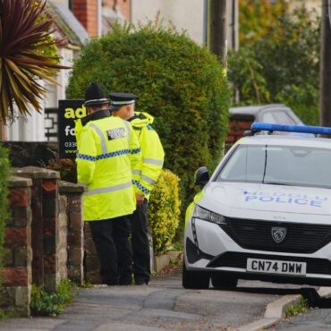 Inquest into death of baby killed in XL bully attack opens