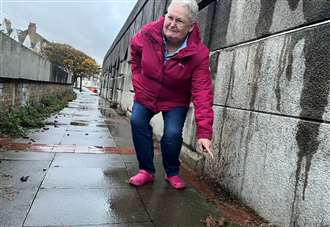 ‘I’m sick of dodging dog mess’: Gran’s plea to clear path found with 40 piles of poo