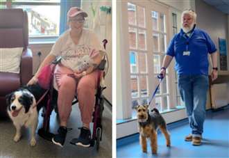 ‘These dogs aren’t just a nice extra – they make a real difference to people’