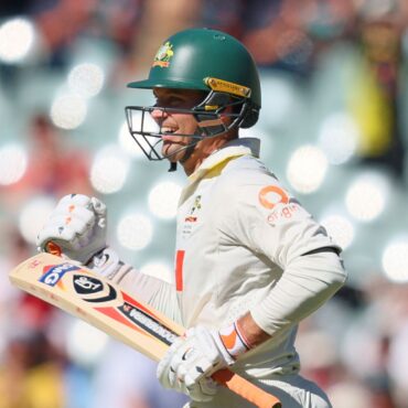 Ashes controversy as tech error denies England’s cricketers a crucial Australian wicket