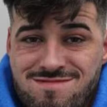 Driver guilty of murder in Christmas Day West End rampage 