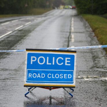 Two teenagers killed after Tesla crashes into tree