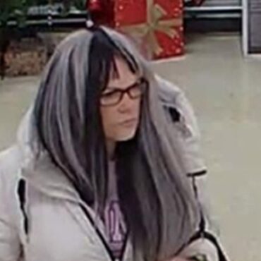 Serial thief banned from wearing wigs in shops after ‘brazen’ thefts