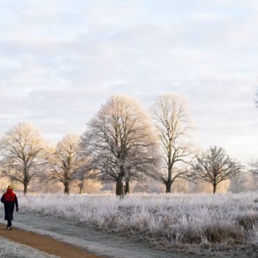 Cold temperatures forecast for new year, with health alerts issued