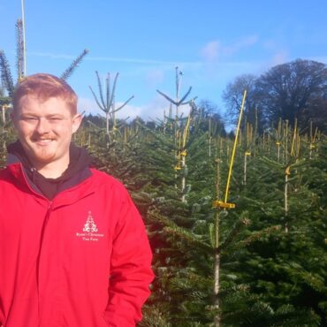 What happened to the nine-year-old who set up a Christmas tree business to pay for university?