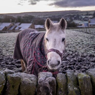 Snowfall expected across large parts of UK as new weather warnings issued