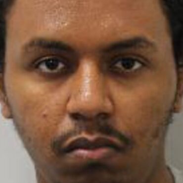 Paranoid schizophrenic who stabbed grandmother to death at bus stop detained indefinitely