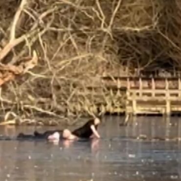 Two men left stranded after dramatic attempt to rescue dog from icy lake