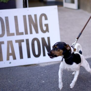 Over a third of councils offered local elections delay have requested one – is yours on the list?