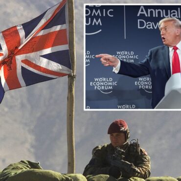‘Ultimate insult’: Trump sparks fury by claiming US allies stayed off Afghan frontline