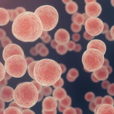 The UK’s new cancer strategy is bold and ambitious – it can’t afford to be anything else