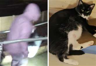 Hooded stranger leaves pregnant cat on couple’s doorstep