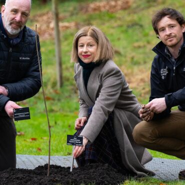 Sycamore Gap tree sapling planted in national park