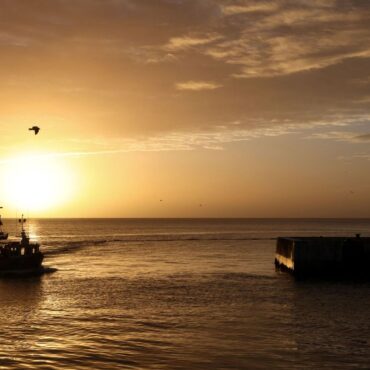 Warning key fish stocks ‘teetering on the brink of collapse’ – amid analysis on overfishing