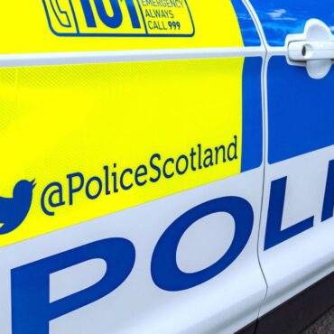 Police find hundreds of cannabis plants worth £174,000 in raid