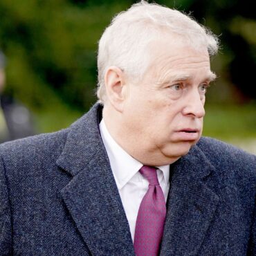 Andrew Mountbatten-Windsor investigated over potential sex crime allegations