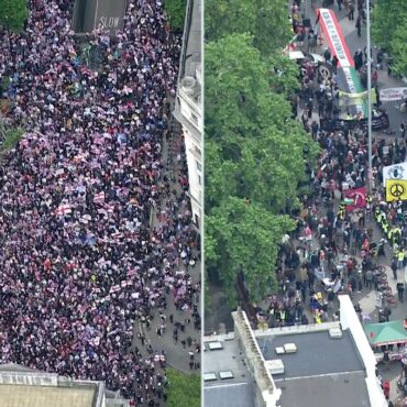 Two charged after more than 40 people arrested at weekend protests in London