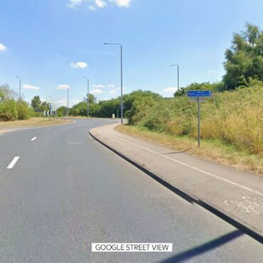 Human skeletal remains found in wooded area