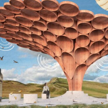 Winner of Sycamore Gap tree competition revealed