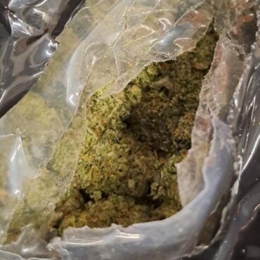 Three arrested after record-breaking 12-tonne cannabis haul seized