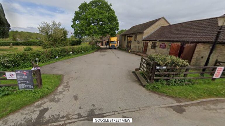 Attempted murder probe after boy, 3, ended up in crocodile enclosure