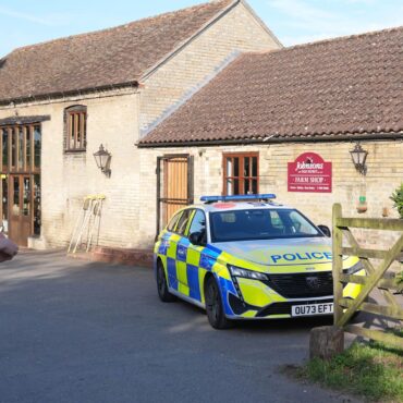 Toddler in stable condition after crocodile attack