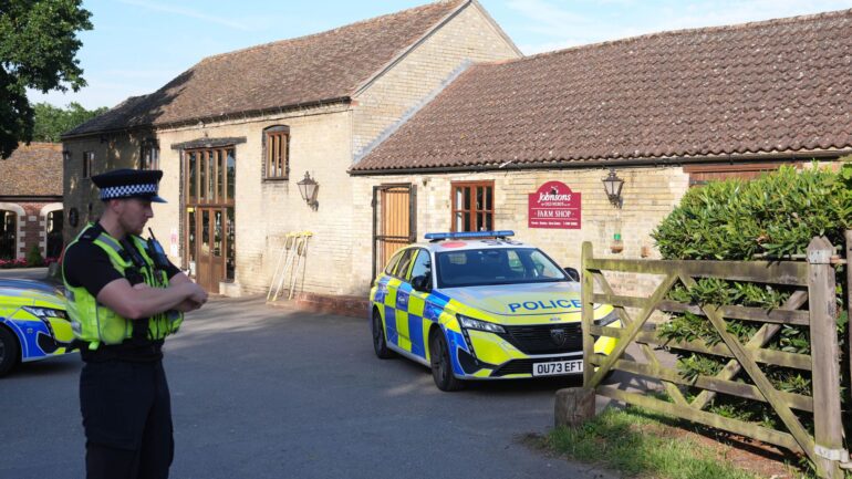Toddler in stable condition after crocodile attack
