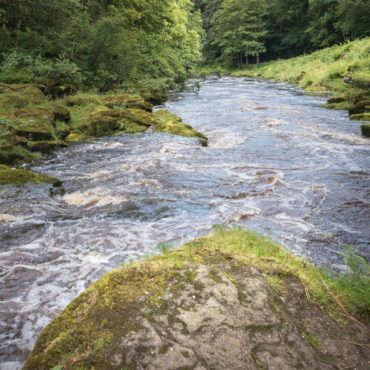 Girl dies after being rescued from river – as number of water deaths during heatwave reaches 17