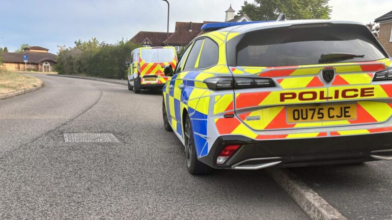 Murder investigation launched after three people found dead at home